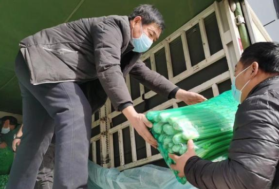 爱心人士捐赠八千斤芹菜助力家乡抗疫
